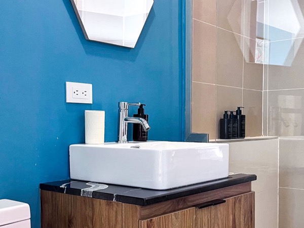 Bathroom 2 Apartment 201